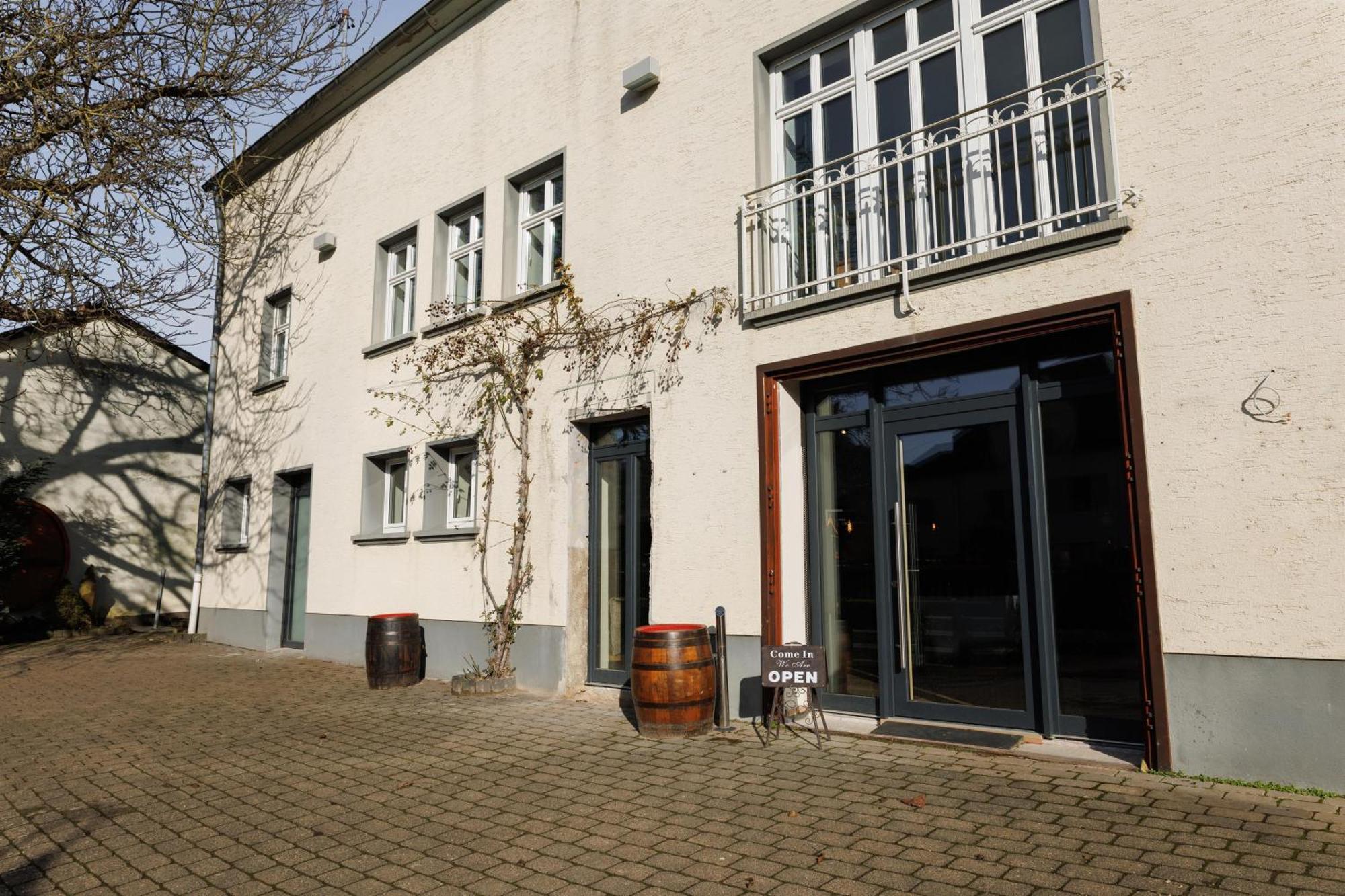 Appartements Im Weingut Frieden-Berg Nittel Exterior foto