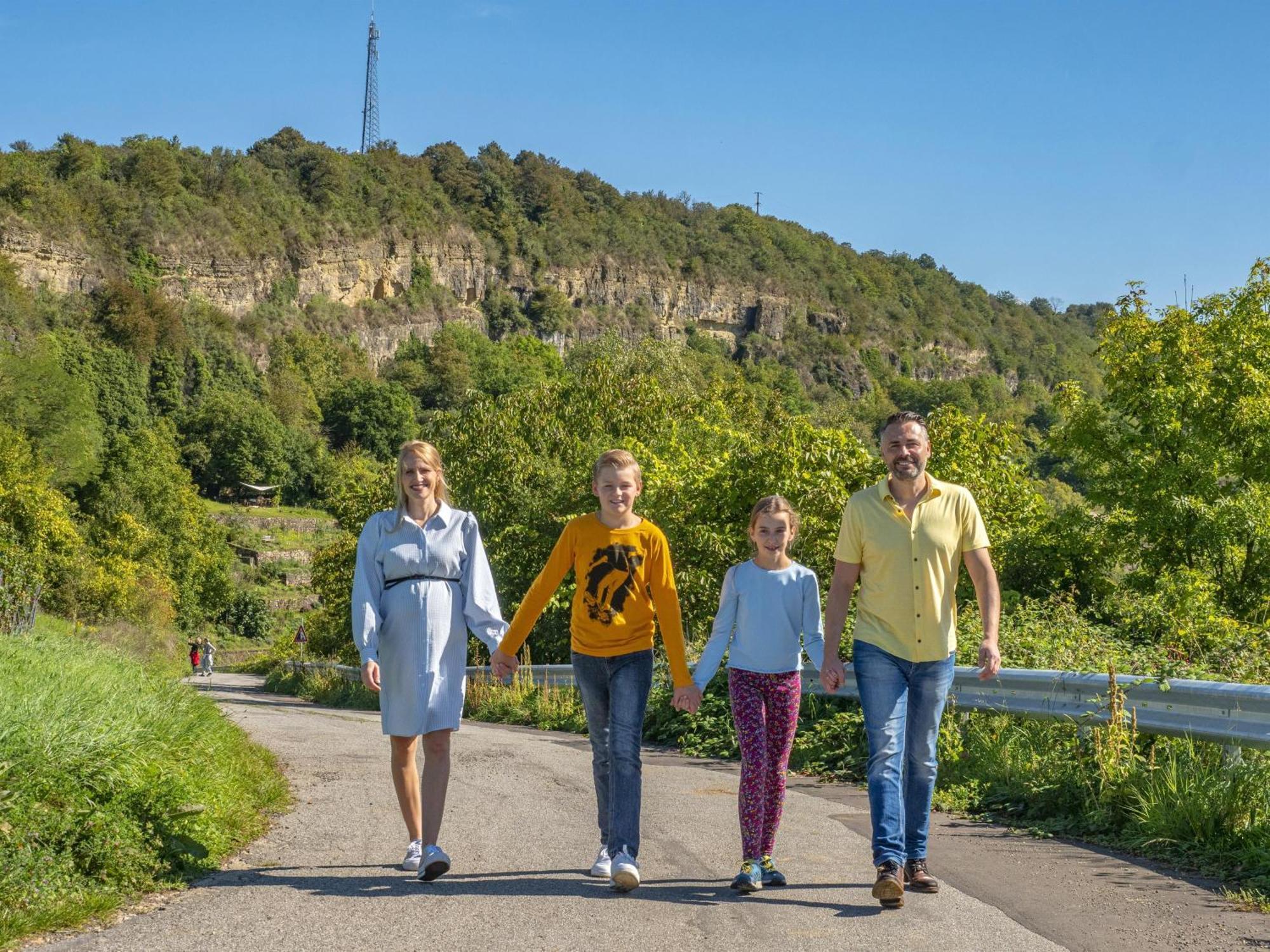 Appartements Im Weingut Frieden-Berg Nittel Exterior foto