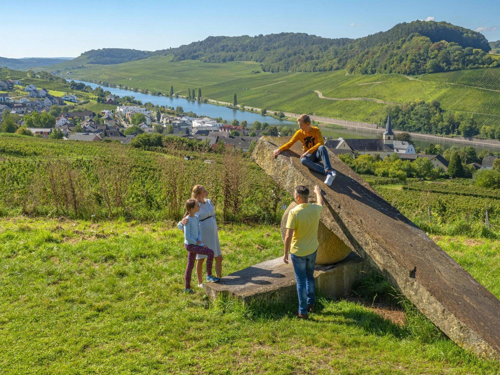 Appartements Im Weingut Frieden-Berg Nittel Exterior foto